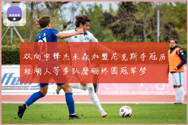 双向中锋杰米森加盟尼克斯夺冠历经湖人等多队磨砺终圆冠军梦