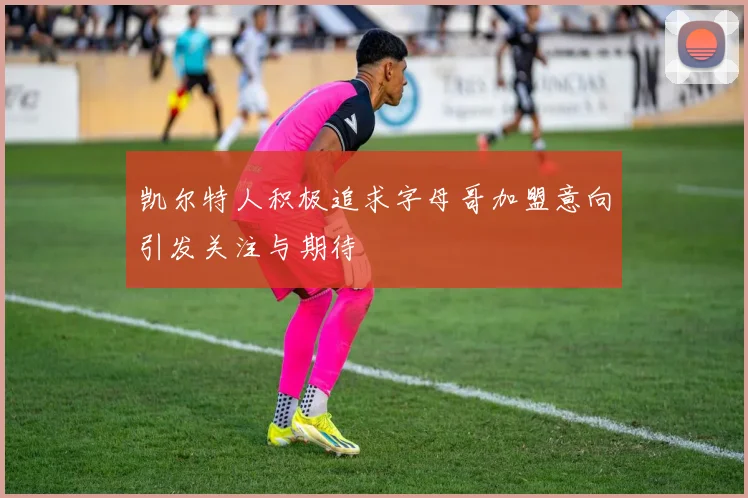凯尔特人积极追求字母哥加盟意向引发关注与期待